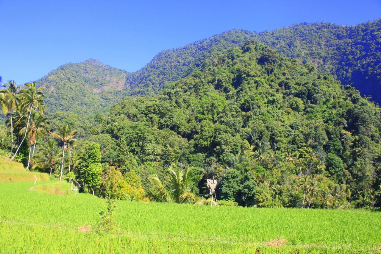 Ananda Homestay Lemukih Singaraja Exterior foto